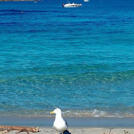 Studio 4P Vue Mer Calme Cap Esterel แซ็งต์-ราฟาเอล ภายนอก รูปภาพ