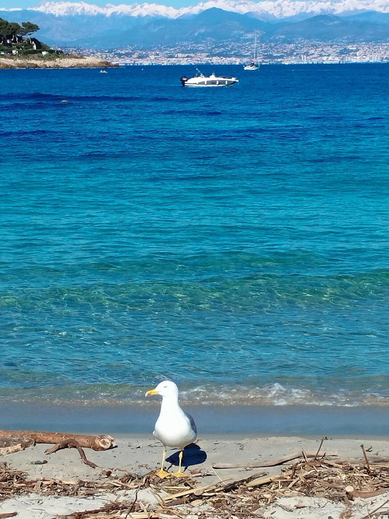 Studio 4P Vue Mer Calme Cap Esterel แซ็งต์-ราฟาเอล ภายนอก รูปภาพ